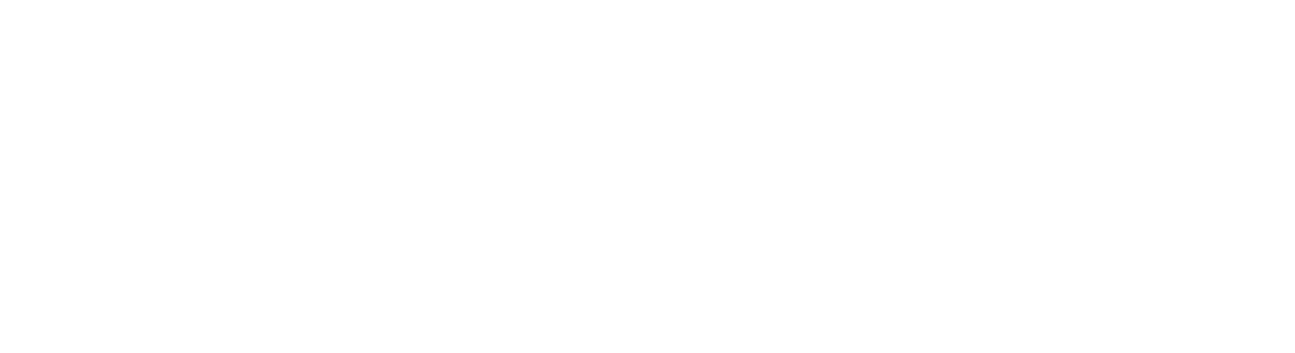 EcoVento Car Rental